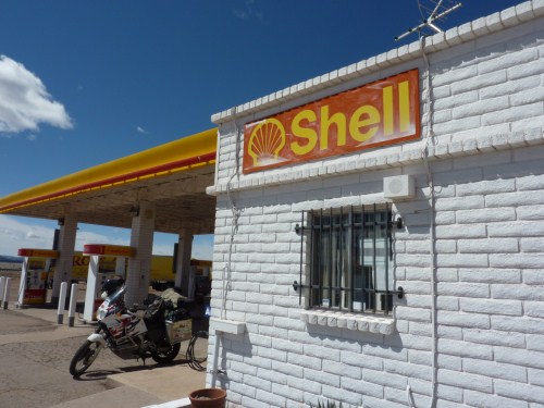 selig shell.jpg